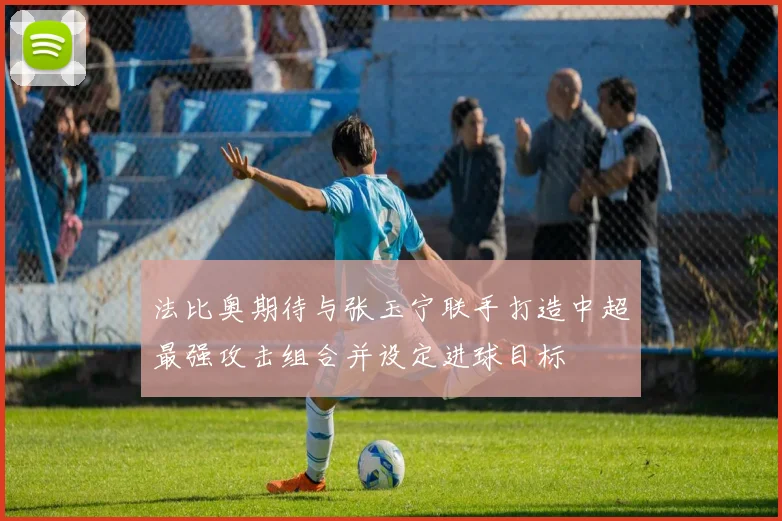 法比奥期待与张玉宁联手打造中超最强攻击组合并设定进球目标